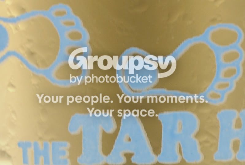 340f8-100percent.jpg