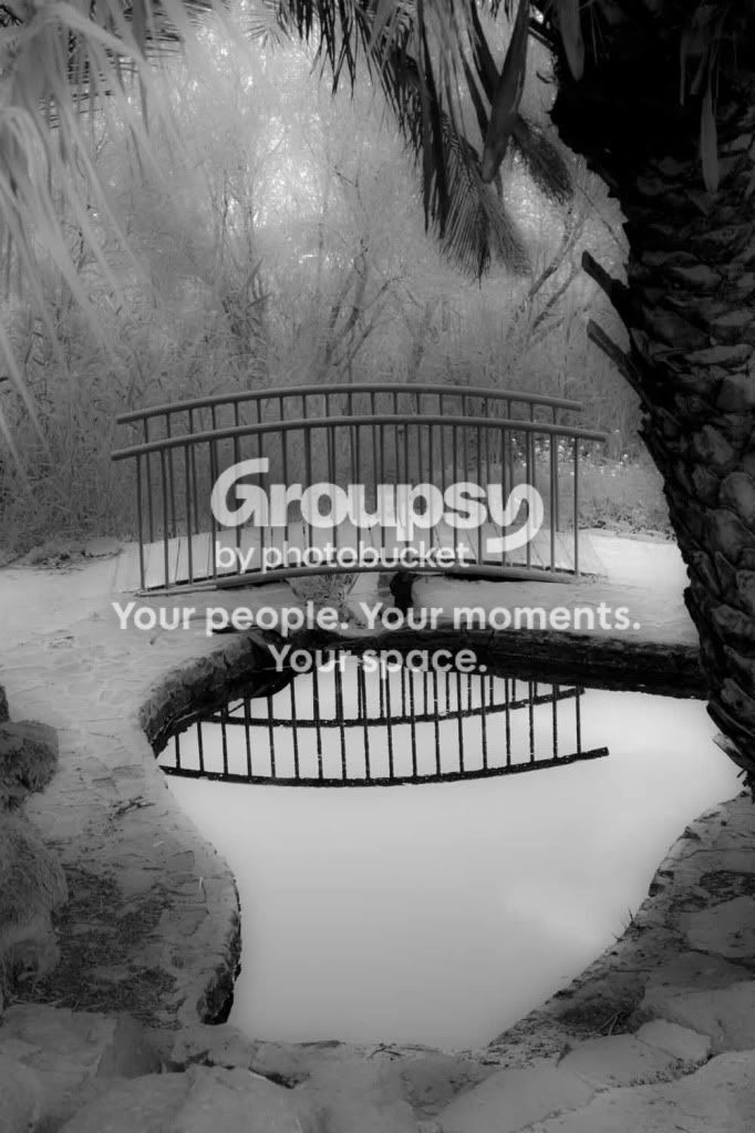 Crossingover-EtherealBridge-1.jpg