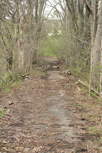 3478600168_f11ff18471.jpg