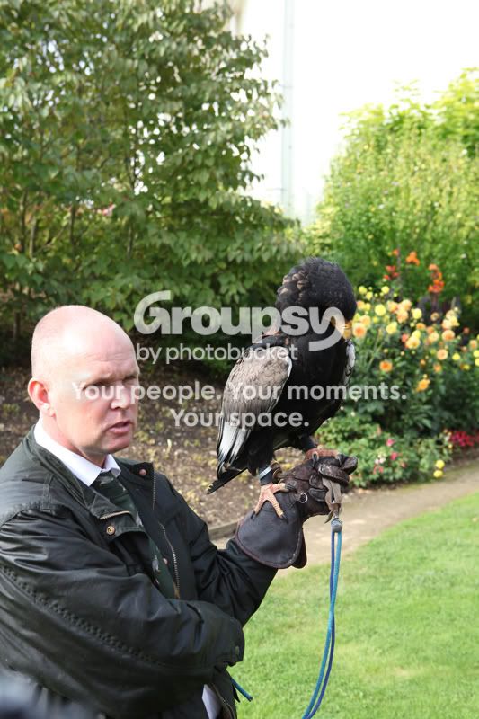 IMG_0097crop.jpg