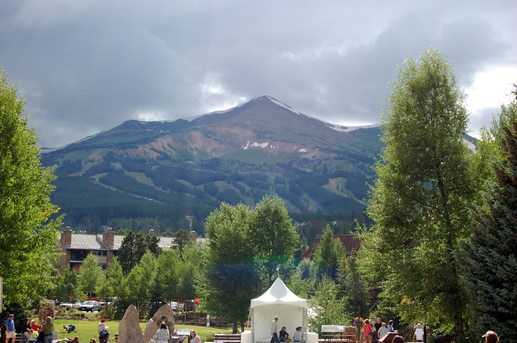 DSC_0103.jpg