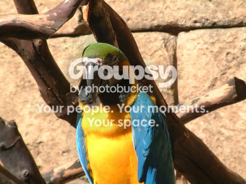 DSCF2718.jpg