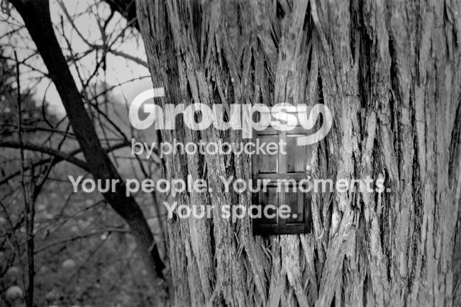 tree_door.jpg