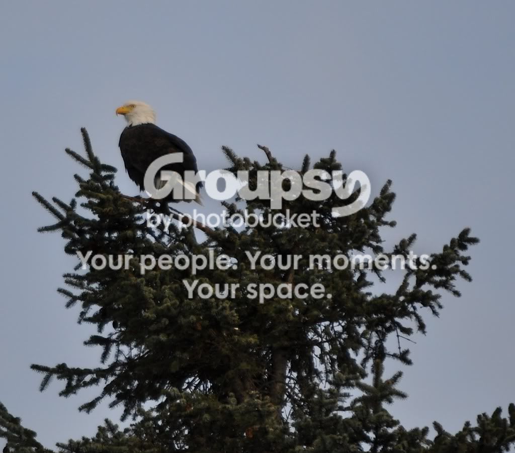 DSC_0004.jpg