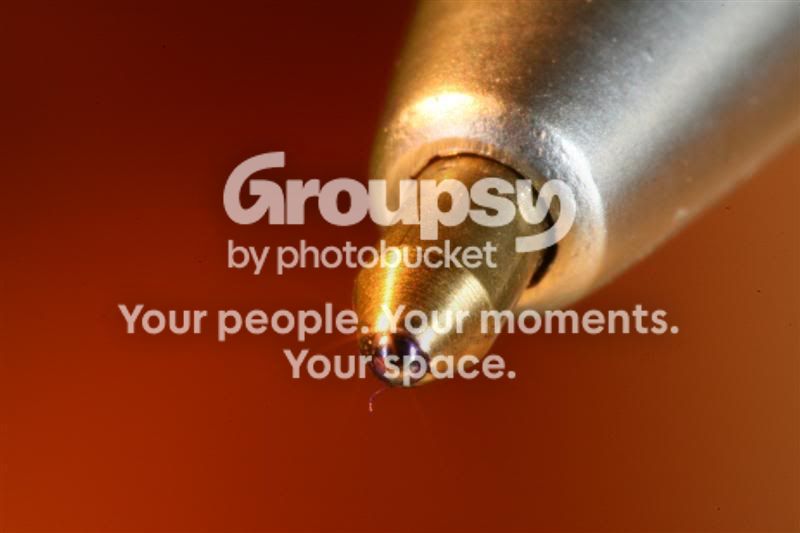 AIMG_0100Medium.jpg