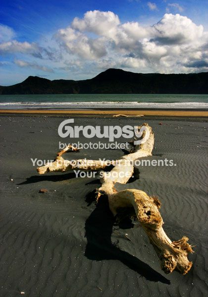 log-in-beach.jpg