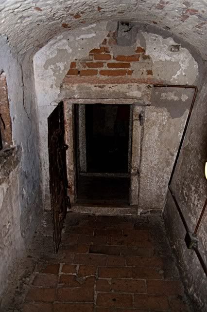 _MG_5004.jpg