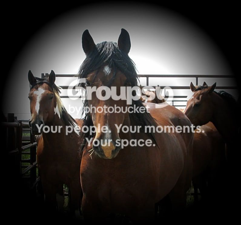 rodeo036-1.jpg