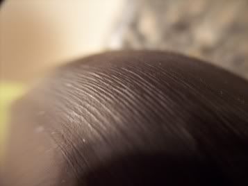 100_2523.jpg