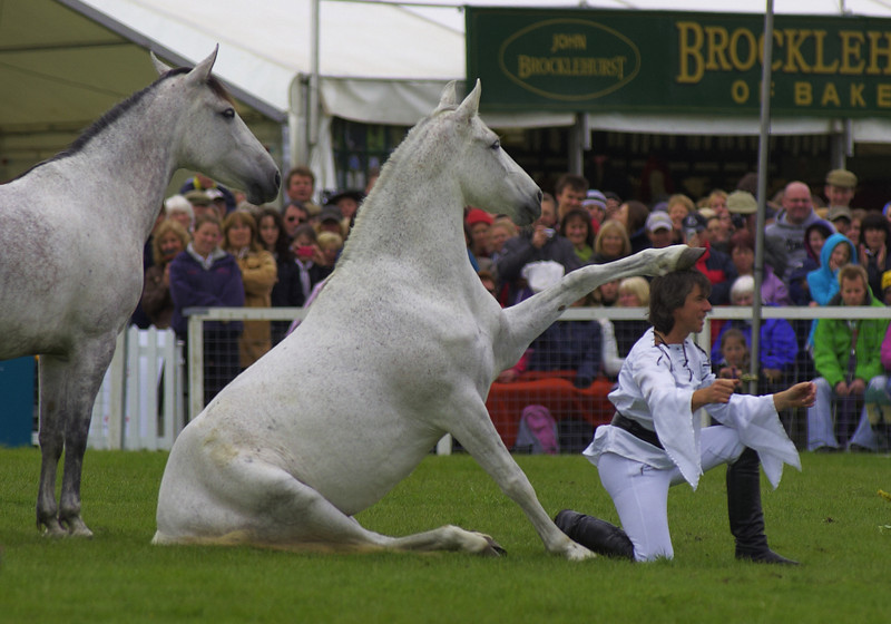 MB5C5585-L.jpg
