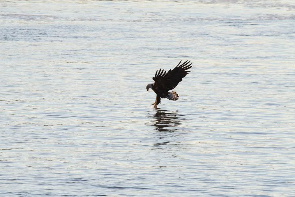IMG_6588.jpg