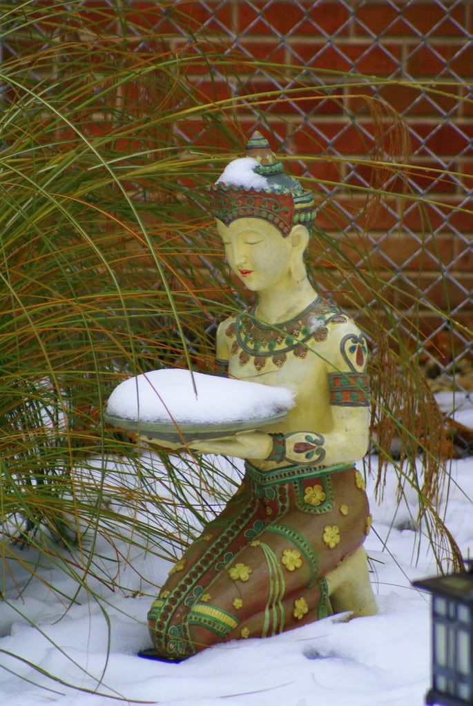 DSC00071.jpg