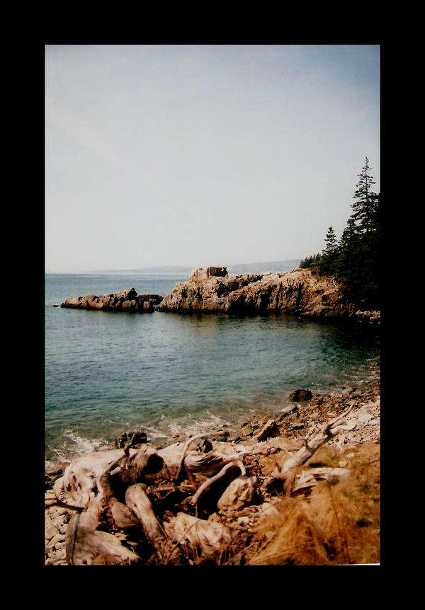 Schoodic_by_sarallyn.jpg