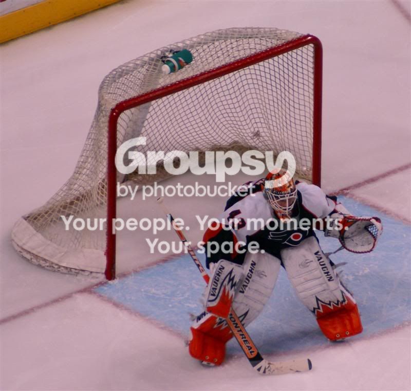 DSC08499cMedium.jpg