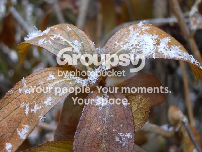 Firstsnow2.jpg