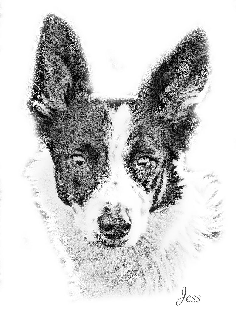jess1_zpse75174f9.jpg