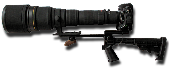 gunStock1.png