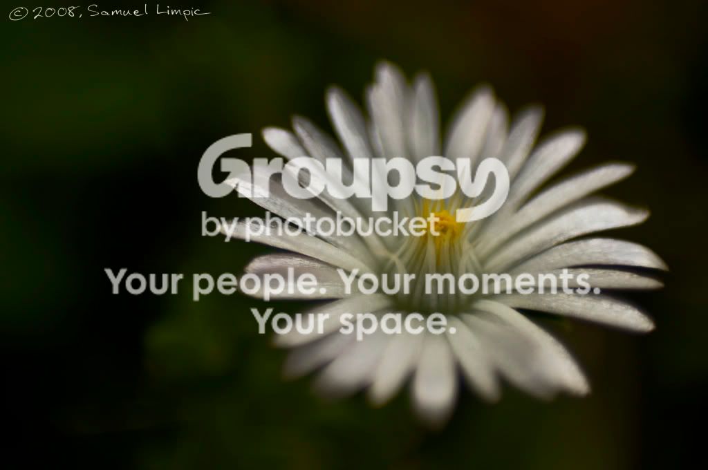 _IGP6730copy.jpg