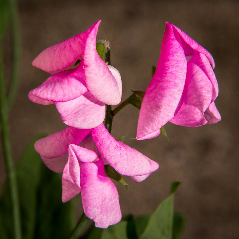 20120711-_MG_4131.jpg