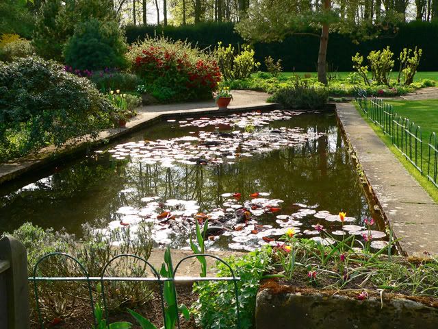 pond.jpg