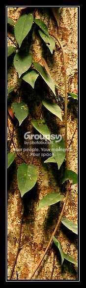IMG_1033_tightcrop.jpg