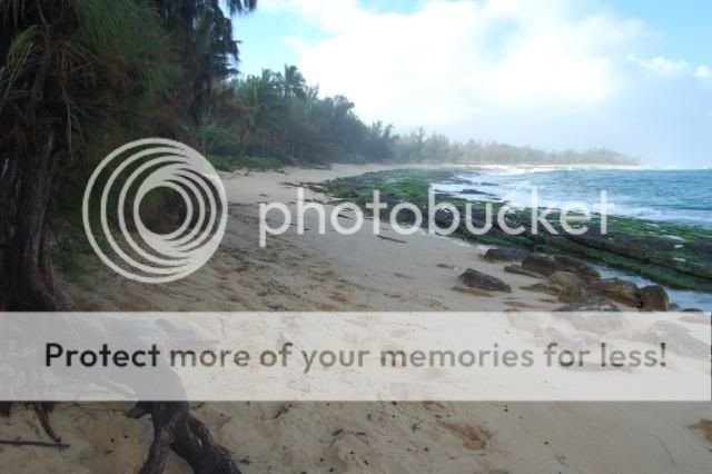 Oahu1-31-10048.jpg