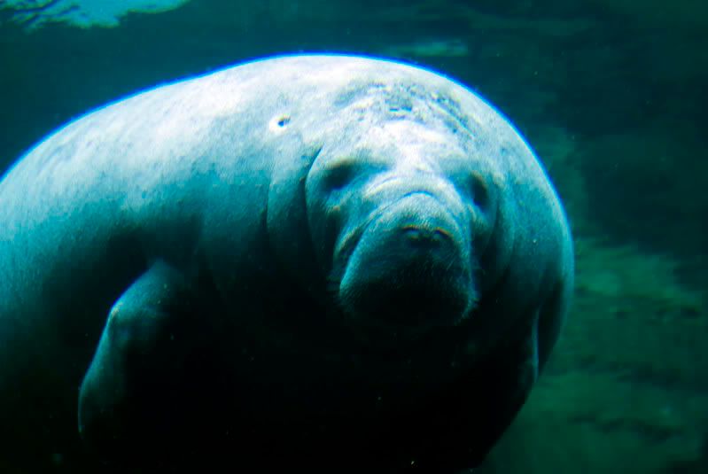 seaworld8small.jpg