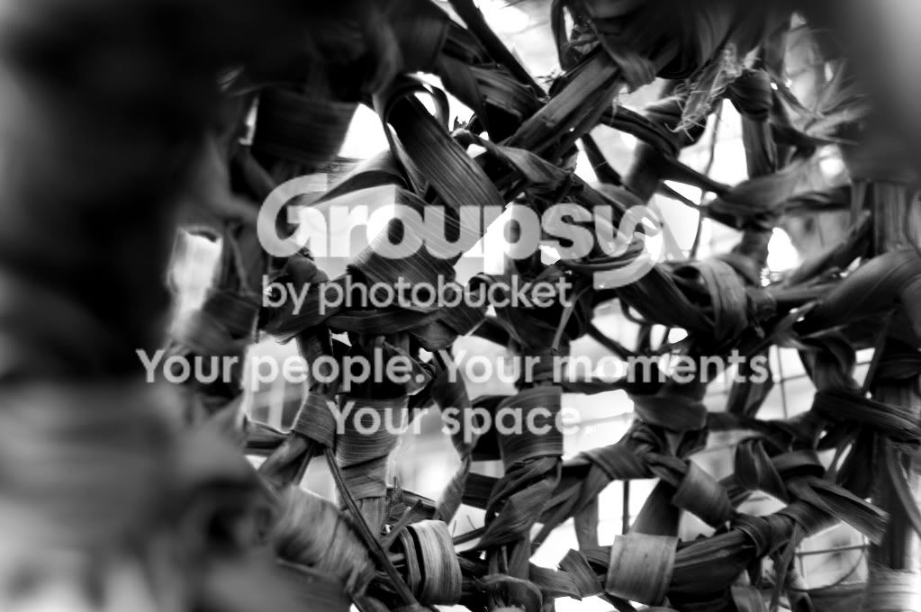 grayweb.jpg