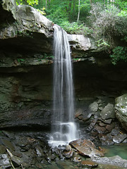 1325929441_15d14c8bbb_m.jpg