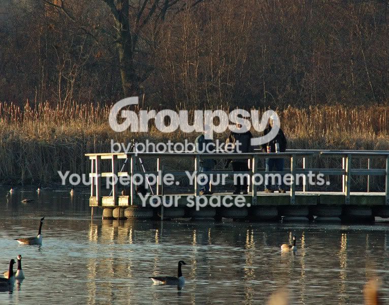 websize006DSC_0484edit.jpg