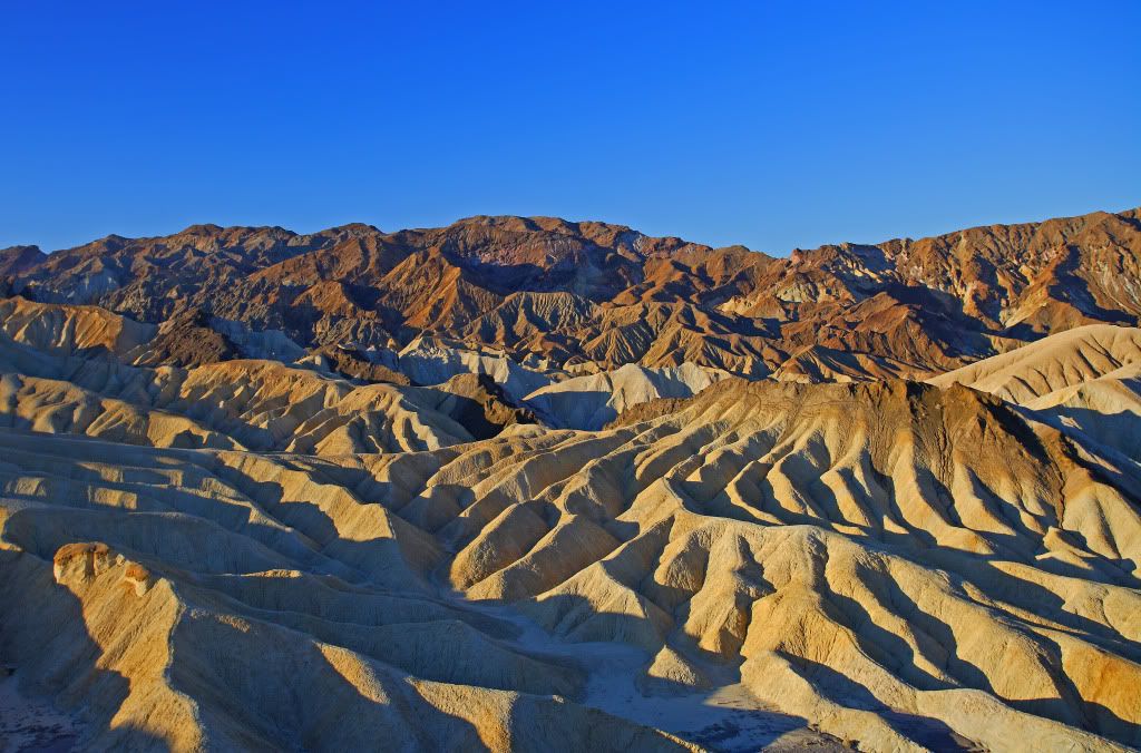 Zabriskie32010.jpg