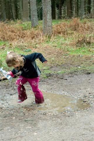 2ndPuddleJump7LargeSmall.jpg