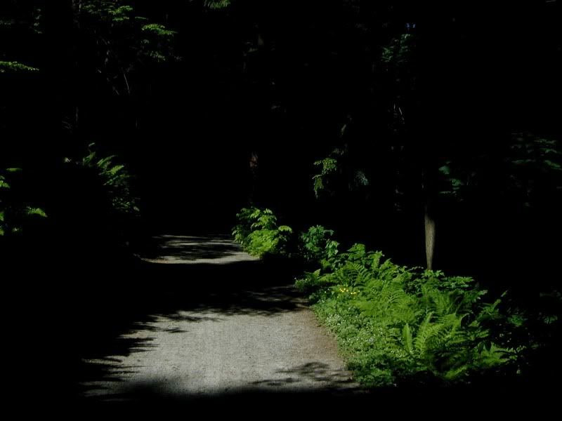 97f4b69e.jpg