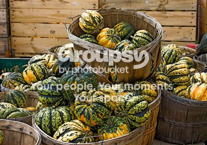 Fall12.jpg