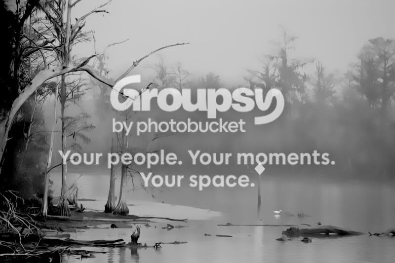 marsh.jpg