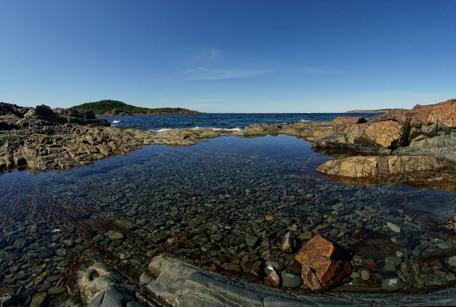 DSC00767a900pix.jpg