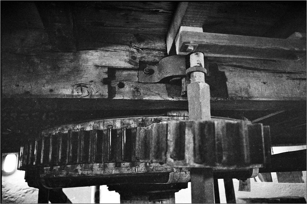 scan640-XL.jpg