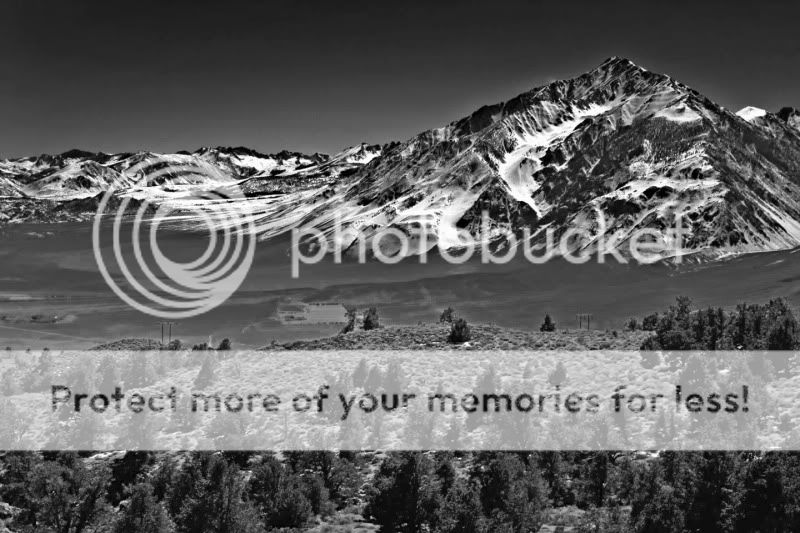 IMG_7642-Editbw.jpg