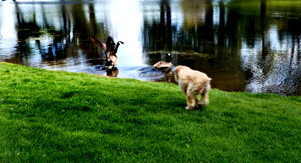 DSCF2647.jpg