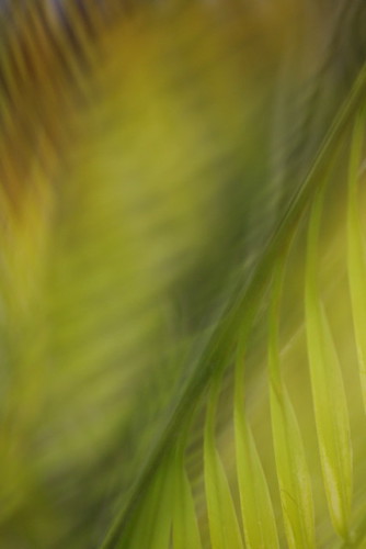 4791431671_0da33a1069.jpg