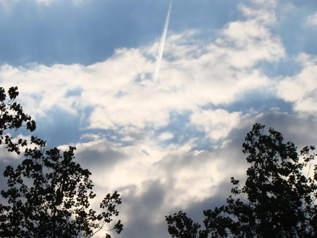 DSC02486.jpg