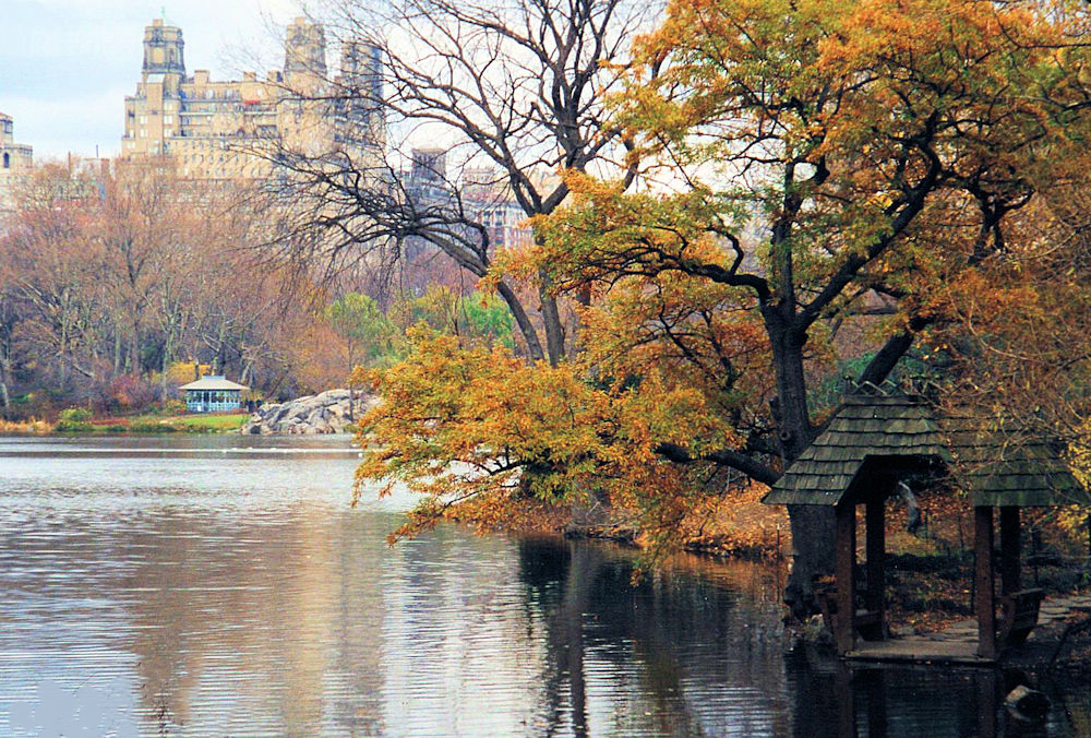 centralpark1.jpg