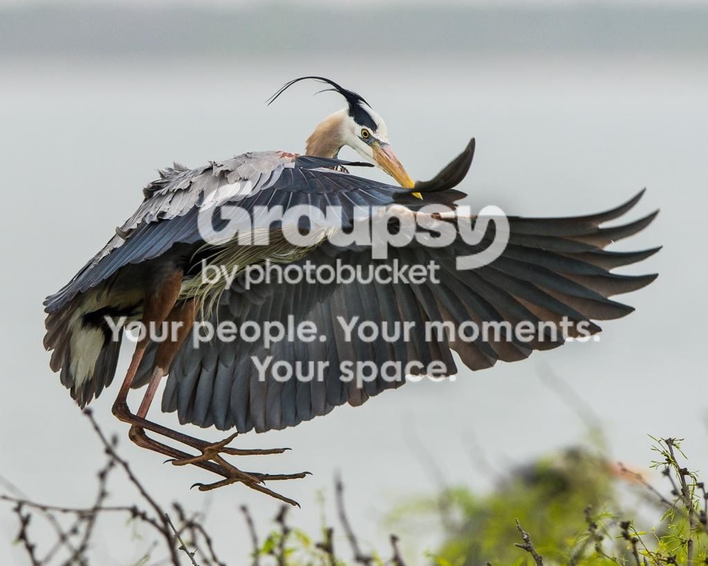 image_zps0f1d30e6.jpg