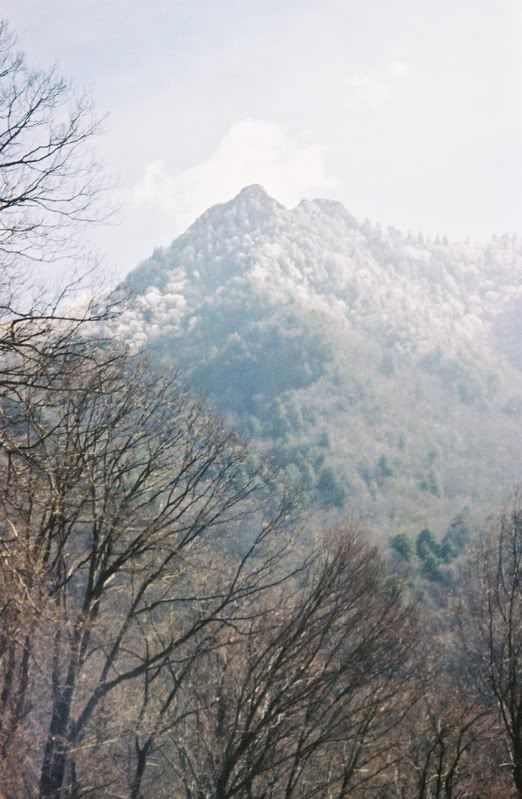 mtn3.jpg