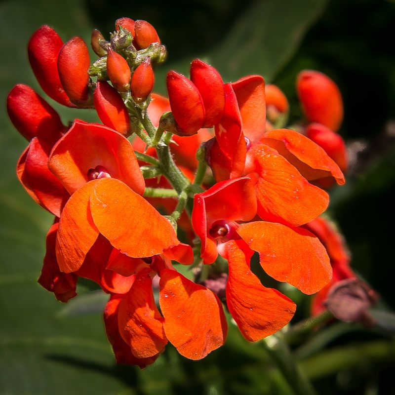 20120814-_MG_4557.jpg