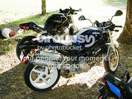 ducs.jpg