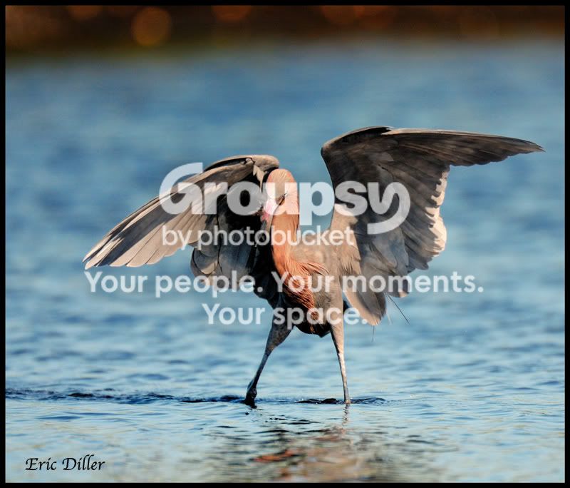 PIC_7308copy.jpg