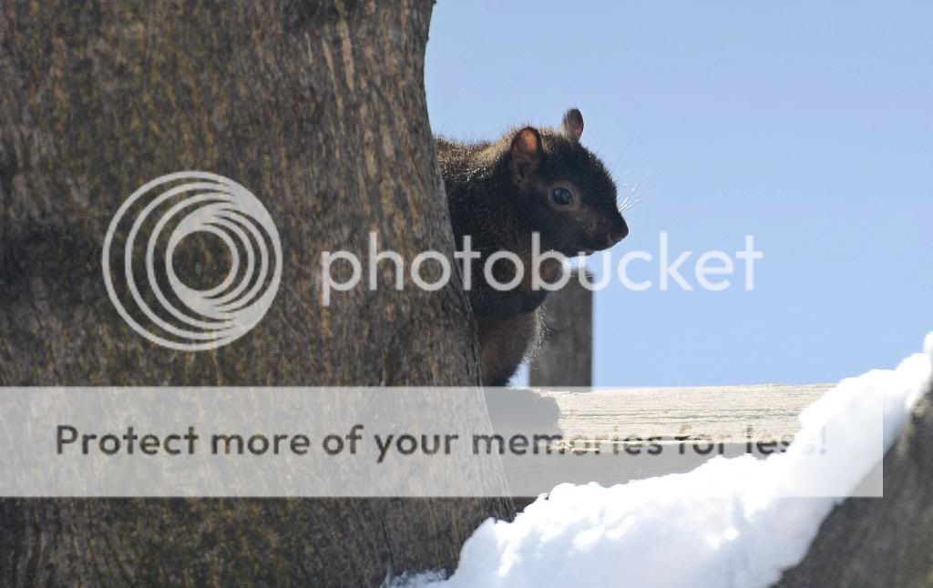 AE1_6305_zps0ce4759b.jpg