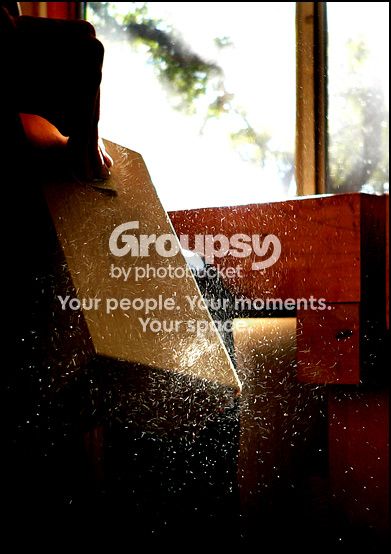 sawdust.jpg