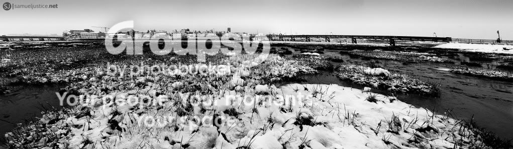 flickr3.jpg